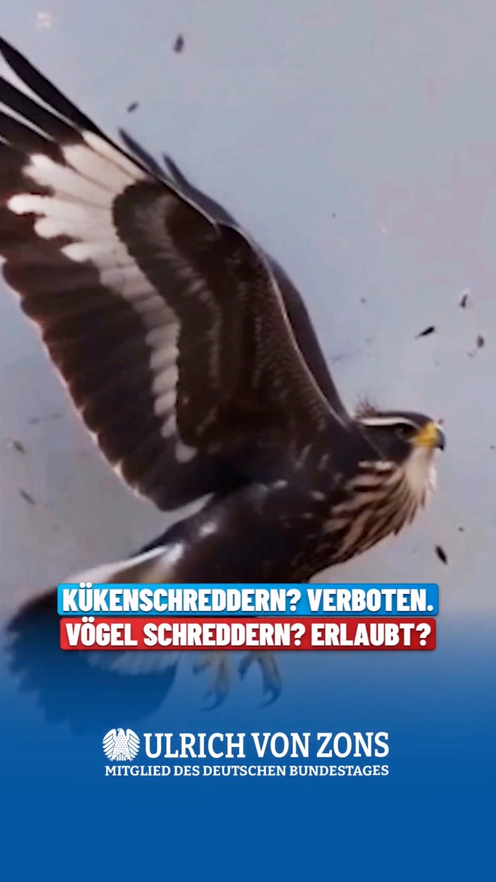 Ulrich von Zons